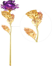 Load image into Gallery viewer, 24K Gold Roses | Purple